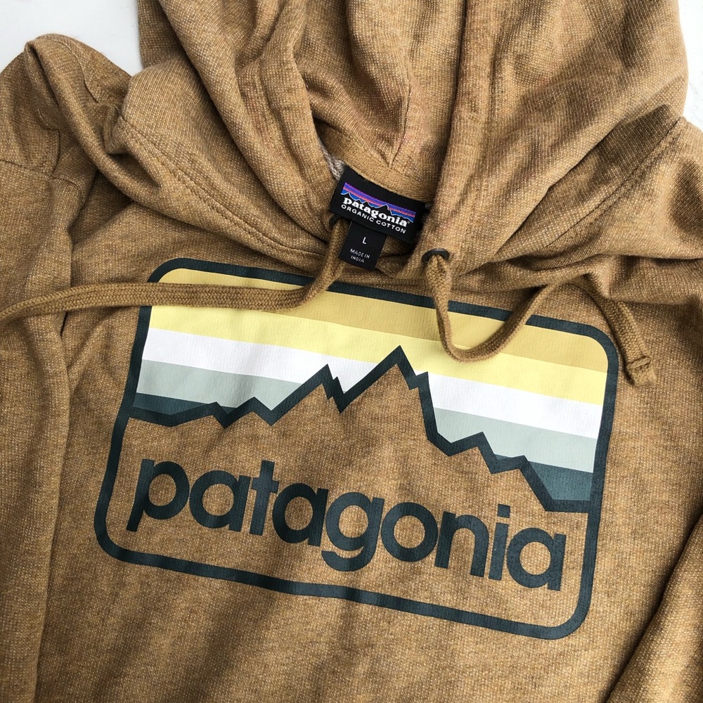 Patagonia Mens Hoodie